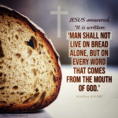 not-bread-alone-1024x1024
